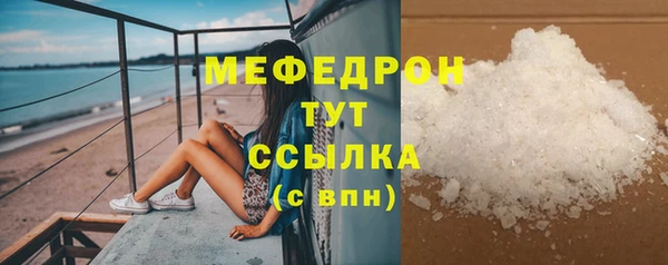 индика Аркадак