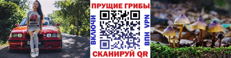 сколько стоит  hydra как войти  Псилоцибиновые грибы Cubensis  Кировск 